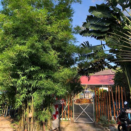 Apartament Shaka Garden House Langkawi Pantai Cenang  Zewnętrze zdjęcie